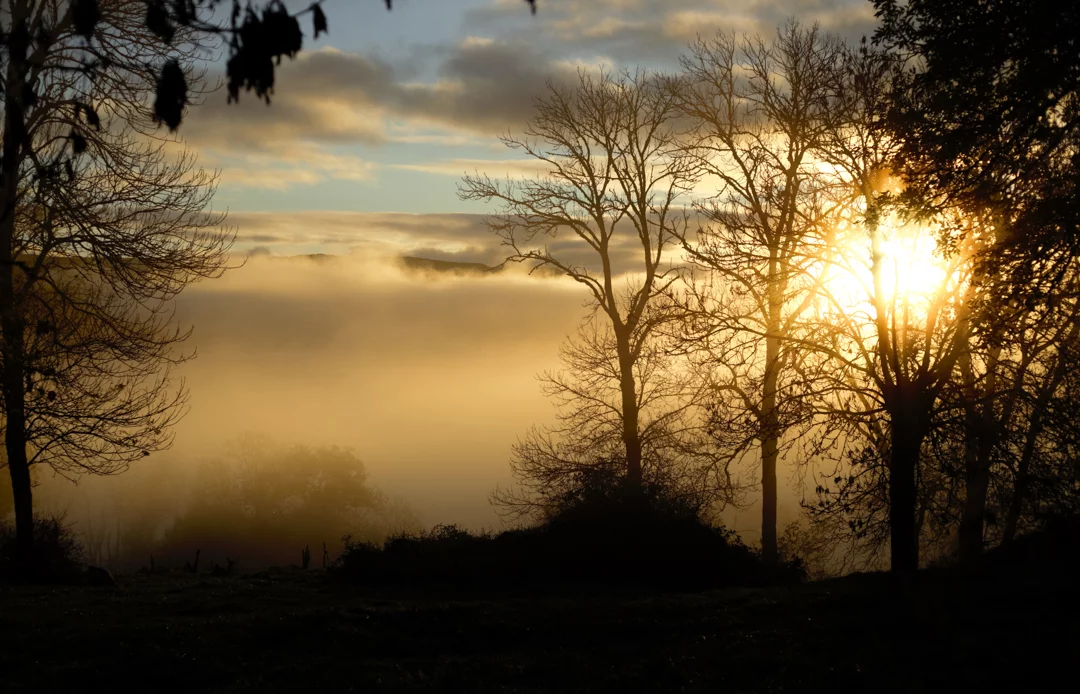 Défi octobre 2025 : La brume